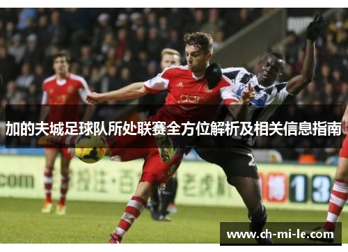加的夫城足球队所处联赛全方位解析及相关信息指南
