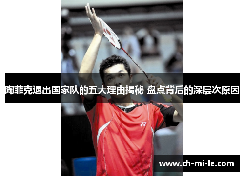 陶菲克退出国家队的五大理由揭秘 盘点背后的深层次原因