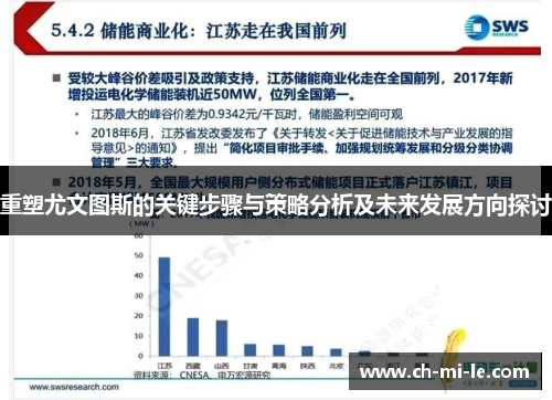 重塑尤文图斯的关键步骤与策略分析及未来发展方向探讨
