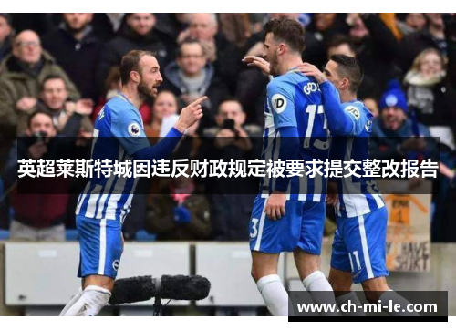 英超莱斯特城因违反财政规定被要求提交整改报告