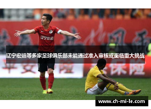 辽宁宏运等多家足球俱乐部未能通过准入审核或面临重大挑战