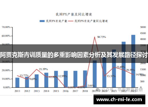 阿贾克斯青训质量的多重影响因素分析及其发展路径探讨
