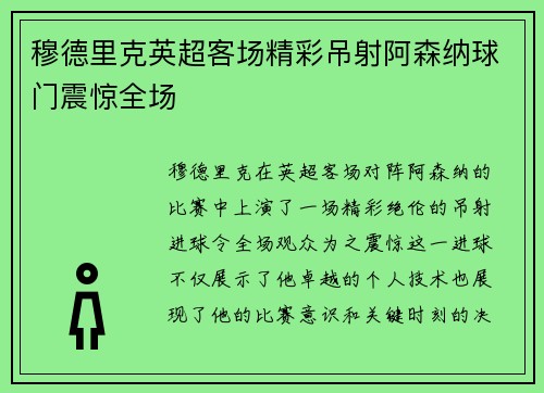 穆德里克英超客场精彩吊射阿森纳球门震惊全场